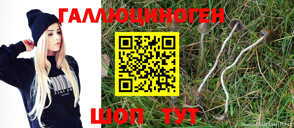 Галлюциногенные грибы Magic Shrooms  Вход с VPN  Находка 