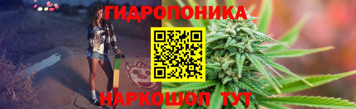 Бошки марихуана конопля  Бошки марихуана планчик  Марихуана VHQ  Марихуана Bruce Banner  Находка  Вход с VPN 